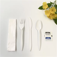 Plastic cutlery set  with napkin salt /pepper